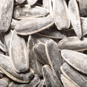 Graines de Tournesol Pipas